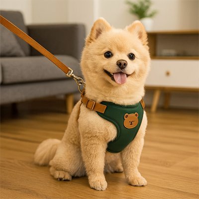 Harnais pour petit Chien | Ourson - Mignon - Chien Trotteur