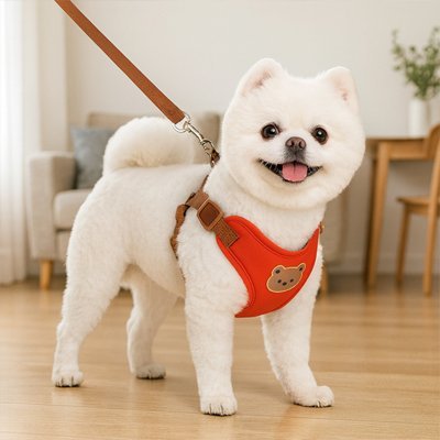 Harnais pour petit Chien | Ourson - Mignon - Chien Trotteur