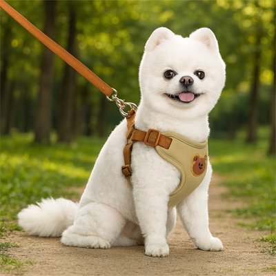 Harnais pour petit Chien | Ourson - Mignon - Chien Trotteur