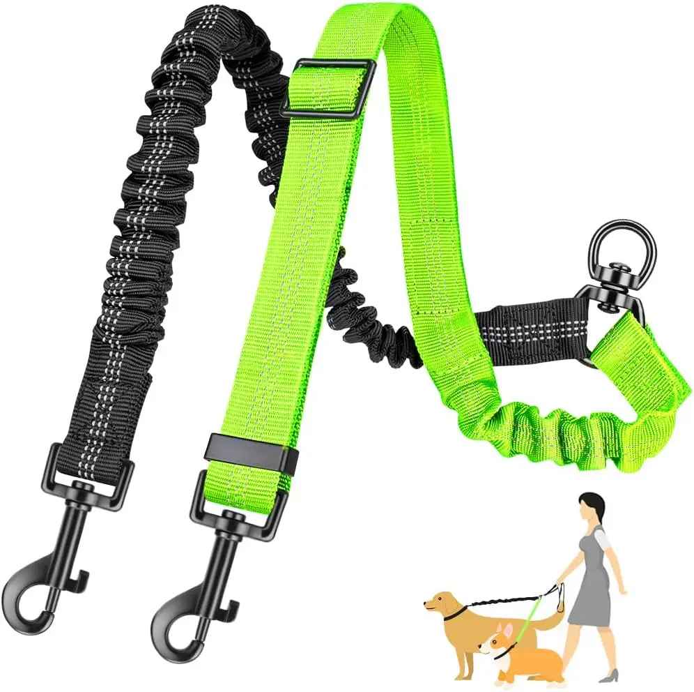 Laisse double pour chien | Robuste - Chien Trotteur
