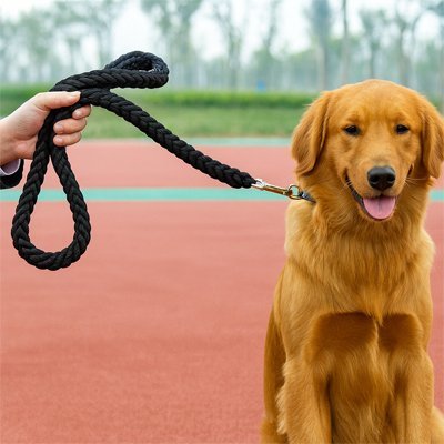 Laisse pour Chien | Comfort Premium - Chien Trotteur