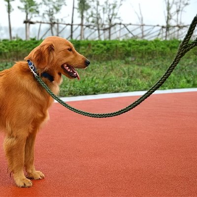 Laisse pour Chien | Comfort Premium - Chien Trotteur