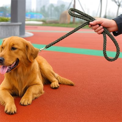 Laisse pour Chien | Comfort Premium - Chien Trotteur