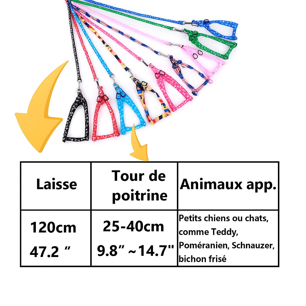 Laisse pour Chien | Fun Design - Chien Trotteur