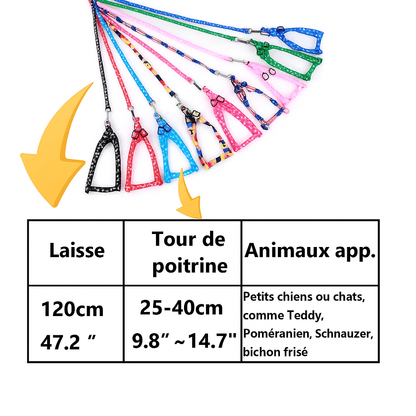 Laisse pour Chien | Fun Design - Chien Trotteur