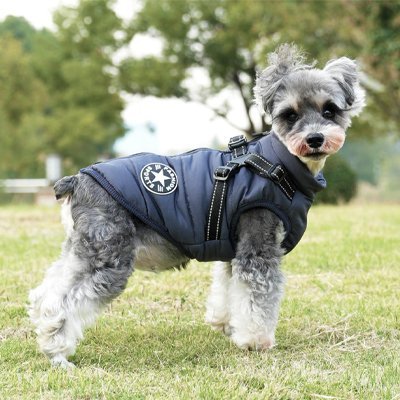 Manteau Chien | Imperméable & Chaleur - Chien Trotteur