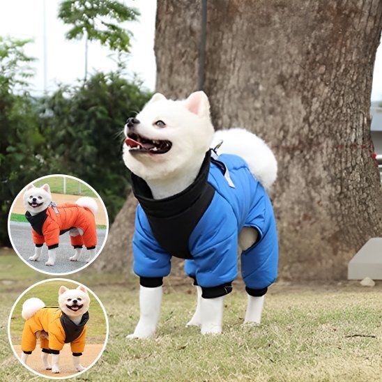 Manteau chien | Plaisir au chaud - Chien Trotteur