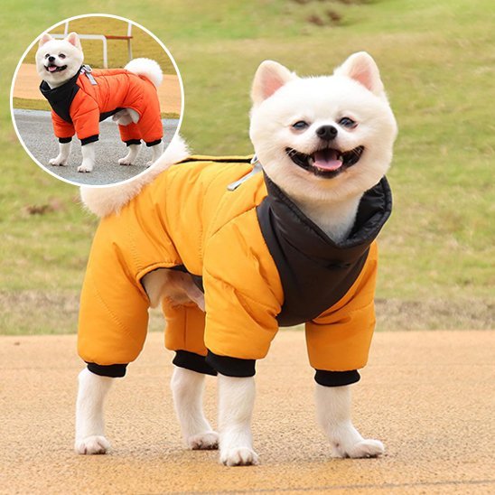 Manteau chien | Plaisir au chaud - Chien Trotteur