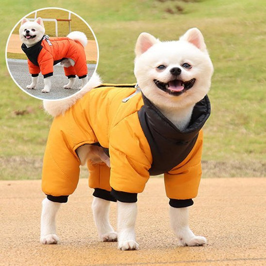 Manteau chien | Plaisir au chaud - Chien Trotteur