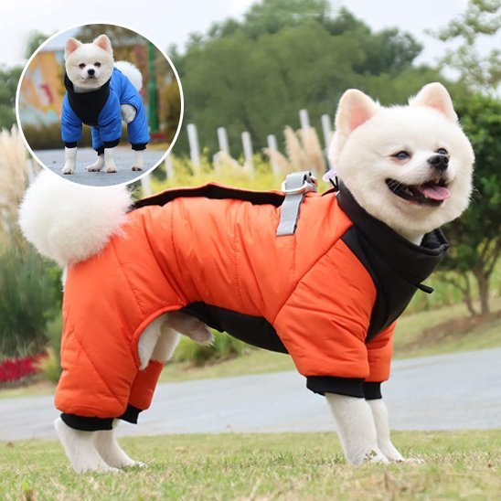 Manteau chien | Plaisir au chaud - Chien Trotteur