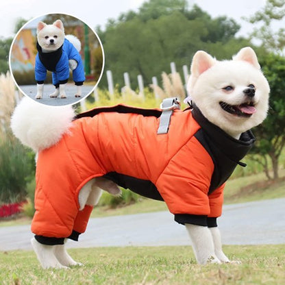 Manteau chien | Plaisir au chaud - Chien Trotteur