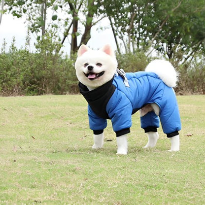 Manteau chien | Plaisir au chaud - Chien Trotteur