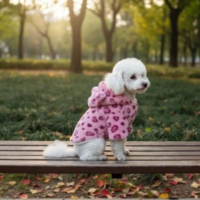 Manteau Chien | Style Confort - Chien Trotteur