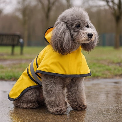 Manteau pour chien | Imperméable Confort - Chien Trotteur