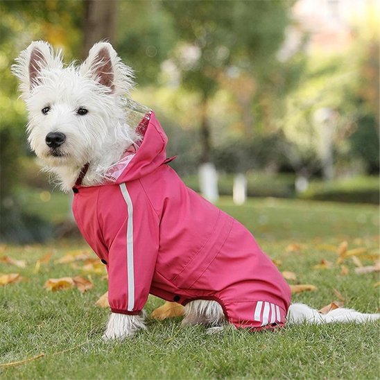 Manteau pour chien | Imperméable Réféchissante - Chien Trotteur