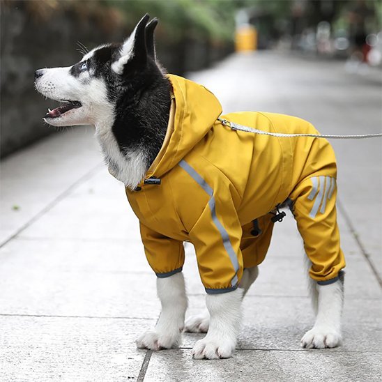 Manteau pour chien | Imperméable Réféchissante - Chien Trotteur
