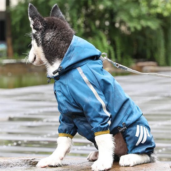 Manteau pour chien | Imperméable Réféchissante - Chien Trotteur