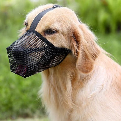 Muselière chien | Confort - Secure - Chien Trotteur