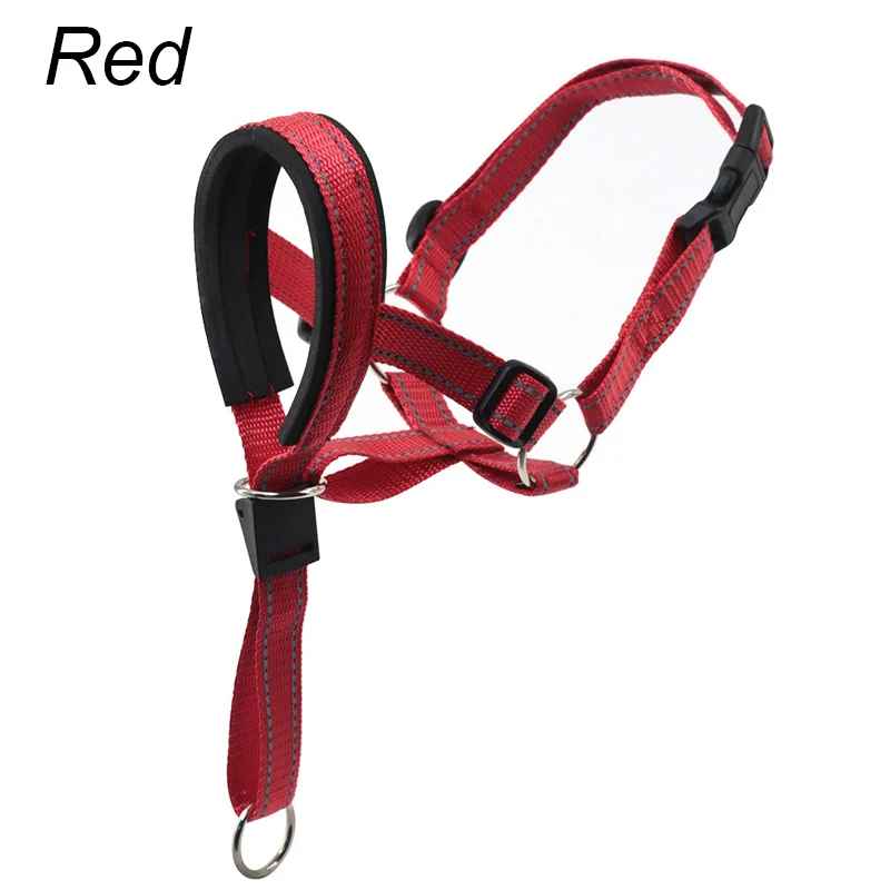 Muselière chien | Confort Sécurité - Chien Trotteur