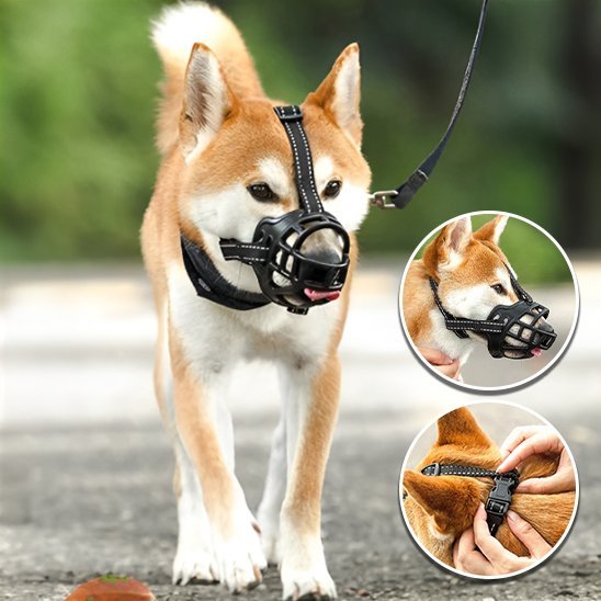 Muselière | Sécuri - Confort - Chien Trotteur