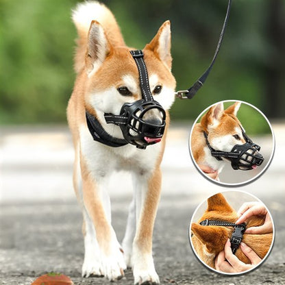 Muselière | Sécuri - Confort - Chien Trotteur