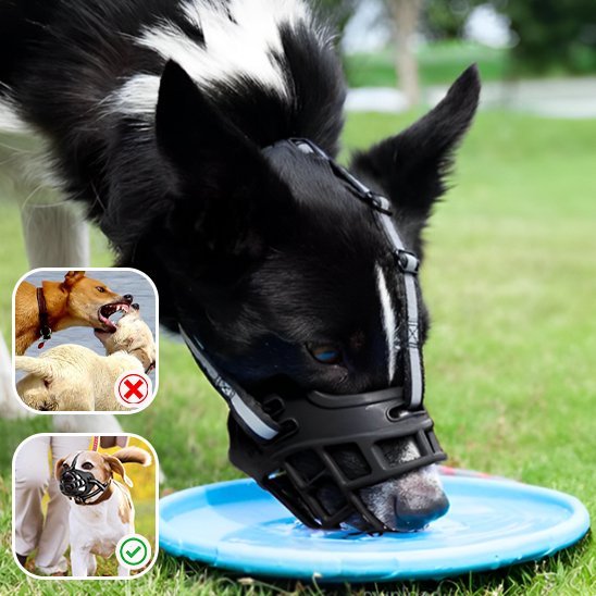 Muselière | Sécuri - Confort - Chien Trotteur