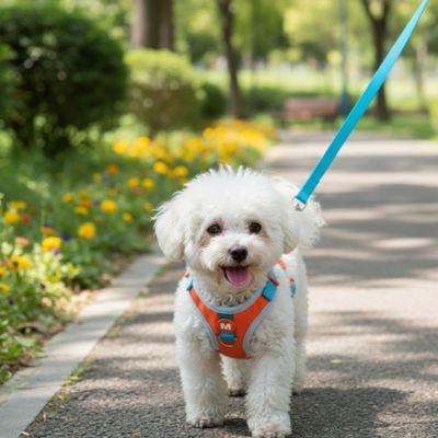 PETIT CHIEN AVEC Harnais chiot BLEU