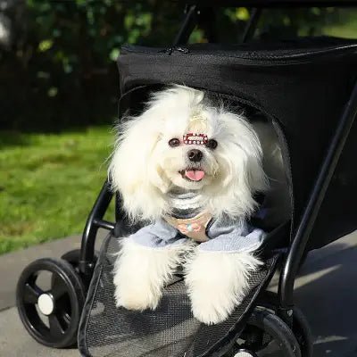 Poussette pour Chien - PetStroller™ - Noir - Chien Trotteur