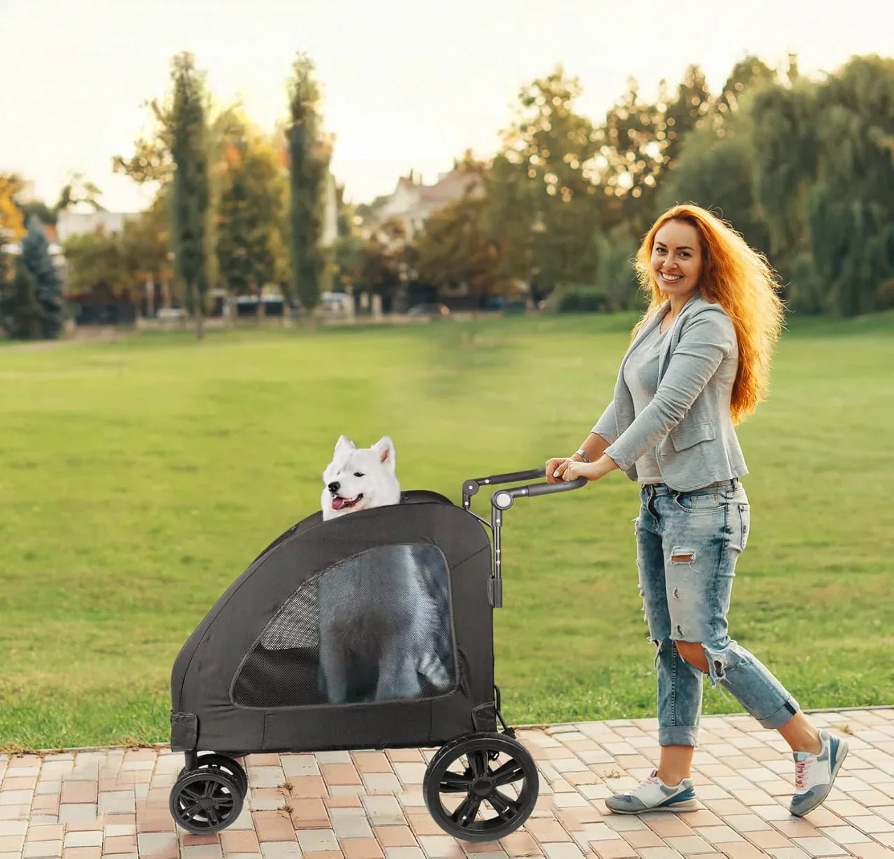 Poussette pour Chien - StrollyPet™ - Noir - Chien Trotteur