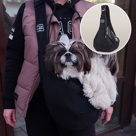 Sac de transport pour chien | Douillet Cocon - Chien Trotteur