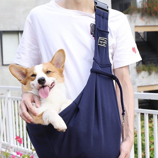 Sac de transport pour chien | Douillet Cocon - Chien Trotteur