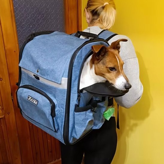 Sac de transport pour chien | Voyageur Actif - Chien Trotteur