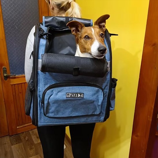 Sac de transport pour chien | Voyageur Actif - Chien Trotteur