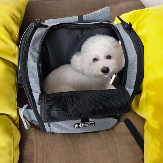 Sac de transport pour chien | Voyageur Actif - Chien Trotteur