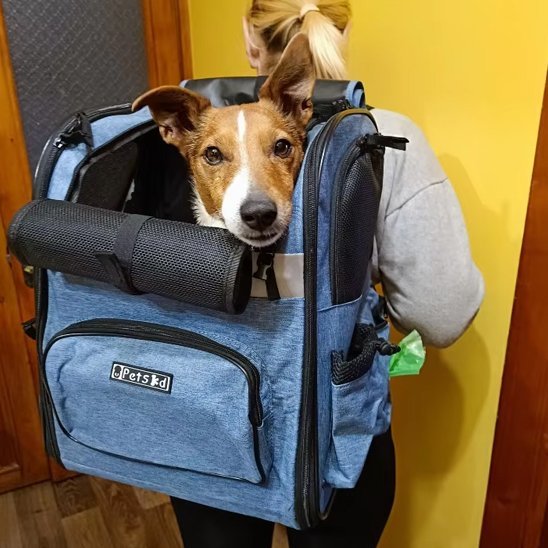 Sac de transport pour chien | Voyageur Actif - Chien Trotteur